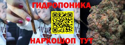 метадон Можга