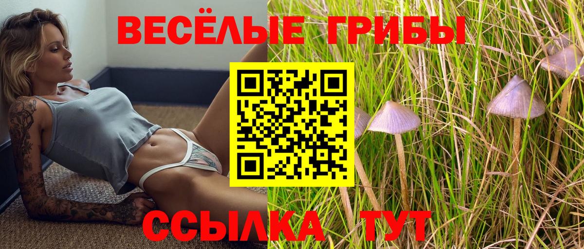 Галлюциногенные грибы MAGIC MUSHROOMS Заволжье