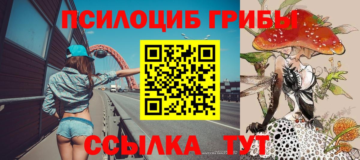 Галлюциногенные грибы мицелий  Псилоцибиновые грибы Psilocybine cubensis  Вход с VPN  как найти закладки  Заволжье 